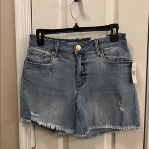 NWT STS BLUE Denim Distressed Women Shorts/Bree short size 27